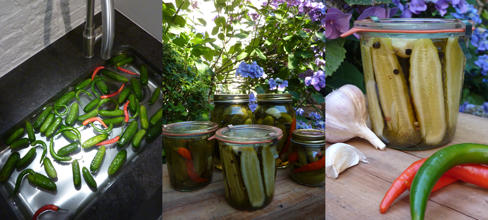pickles-bnr
